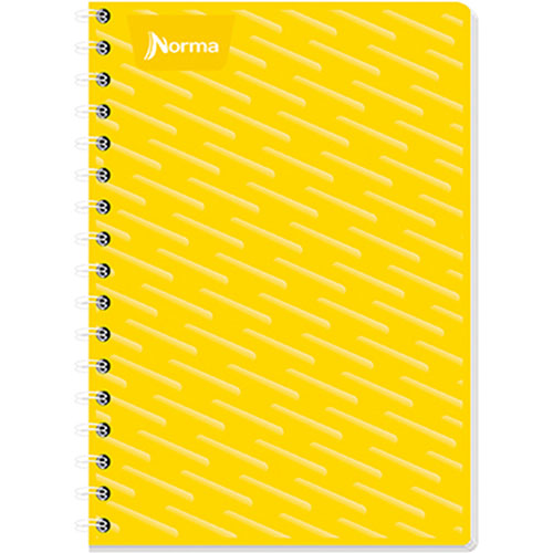 Cuaderno Profesional Norma Forma Francesa Raya 100 h.